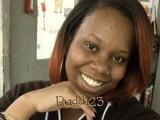 Pudd123