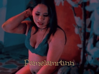 Pamelamrtinn