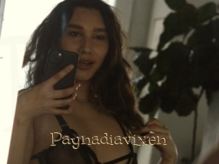 Paynadiavixen