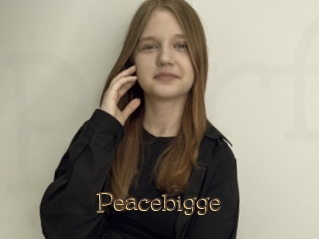 Peacebigge