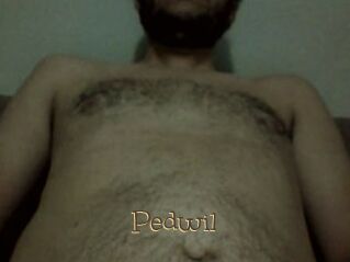 Pedwil