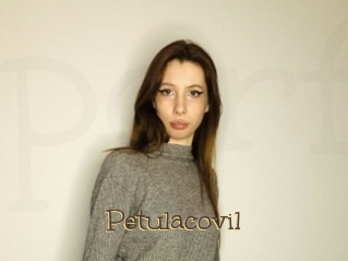 Petulacovil