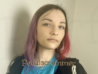 Petulacrammer