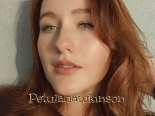 Petulahawkinson