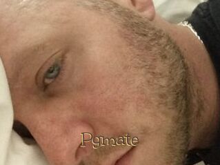 Pgmate