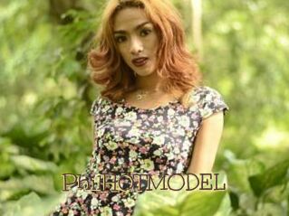 PhilH0TMODEL