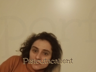 Pisicutacalient