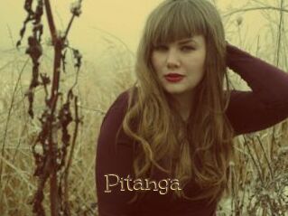 Pitanga