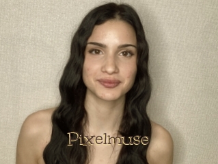 Pixelmuse