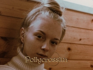 Pollycrosslin