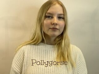 Pollygorse
