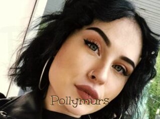 Pollymurs