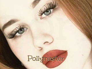 Pollynaster