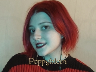 Poppyblom