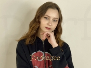 Portiagee