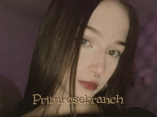 Primrosebranch