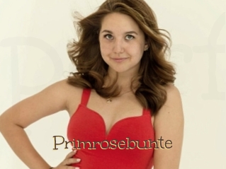 Primrosebunte