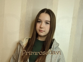 Primrosedavi