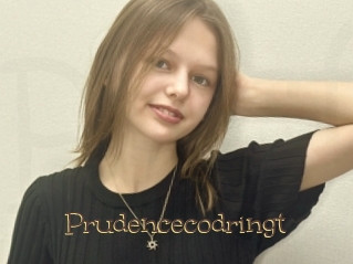 Prudencecodringt