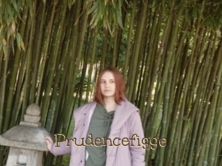 Prudencefigge