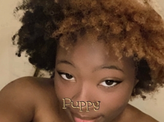 Puppy