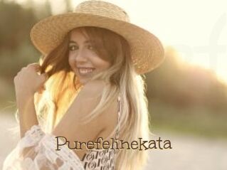 Purefelinekata