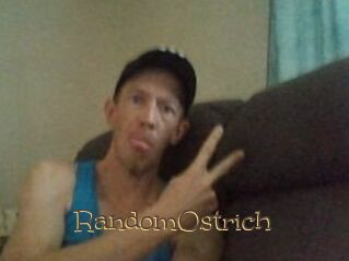 RandomOstrich