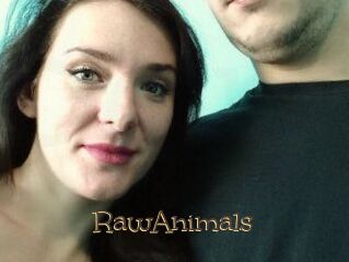 RawAnimals