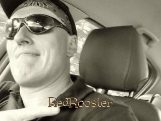 RedRooster