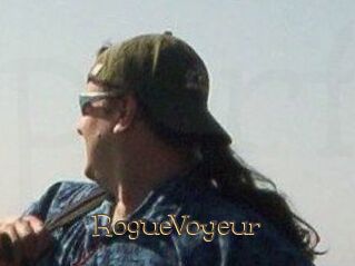 RogueVoyeur