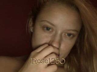 Rose1230