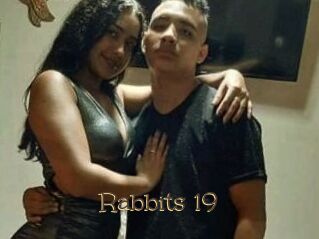 Rabbits_19