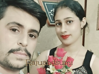 Rajuandsumi