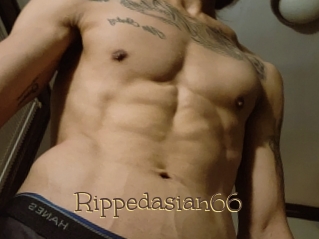 Rippedasian66