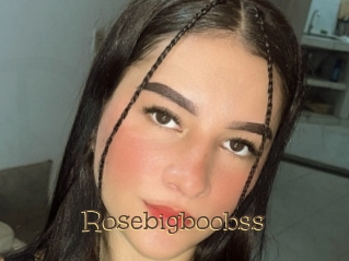 Rosebigboobss