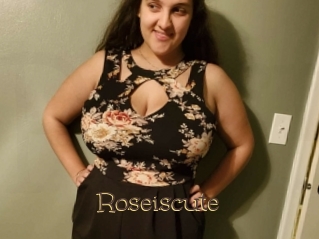 Roseiscute