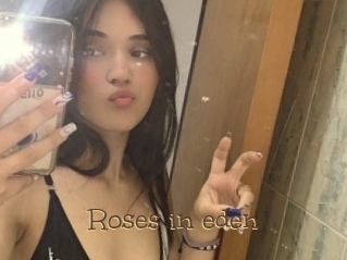 Roses_in_eden