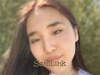 SaniLink