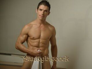 Santtybigcock