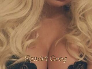 Scarlet_Grey