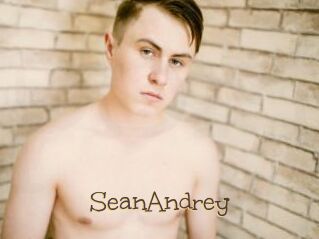 SeanAndrey