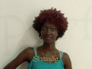 Shandy