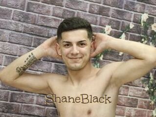 ShaneBlack