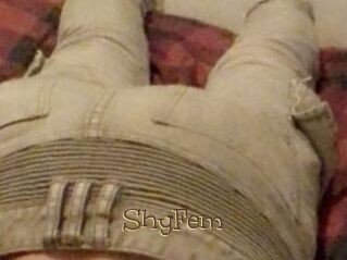 ShyFem