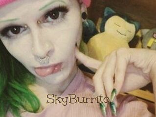SkyBurrito
