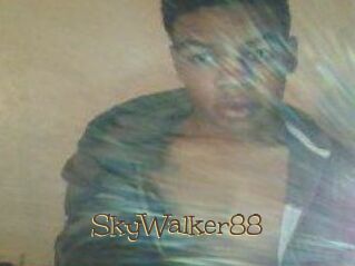 SkyWalker88