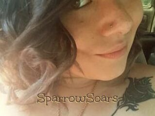 SparrowSoars