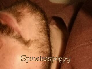Spinelesspoppy