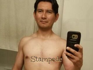Stampede