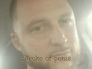 Stroke_of_penis